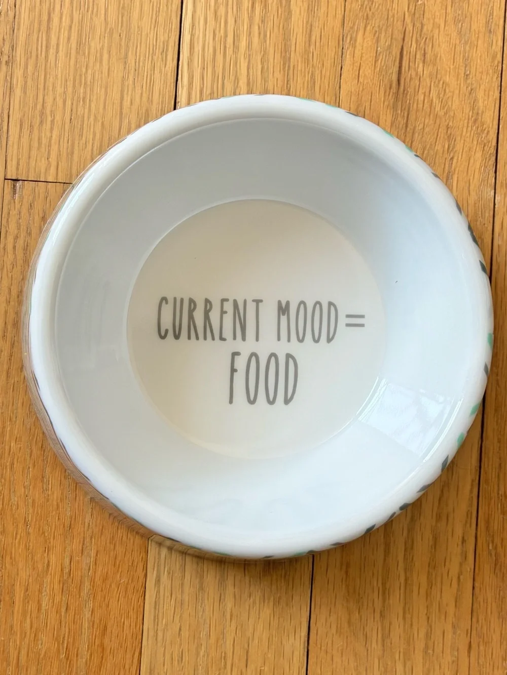 NWT Chewy “frisco” Melamine Pet Bowl CHEVRON, 12 oz